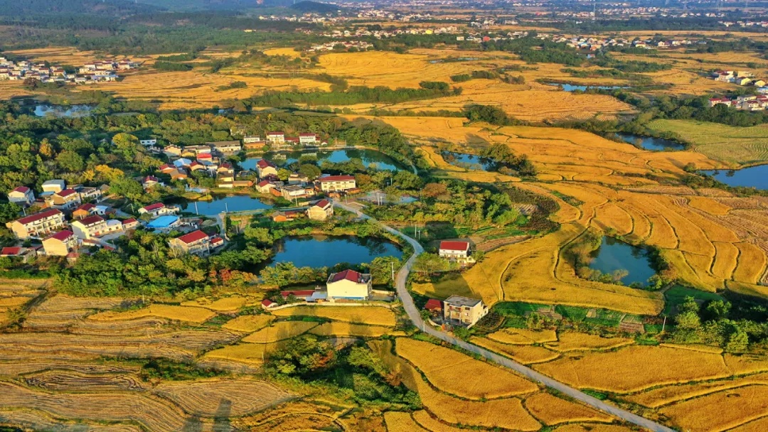 乡村振兴中全域土地综合整治的内涵拓展与制度创新2