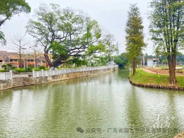 佛山杏坛全域土体综合整治3