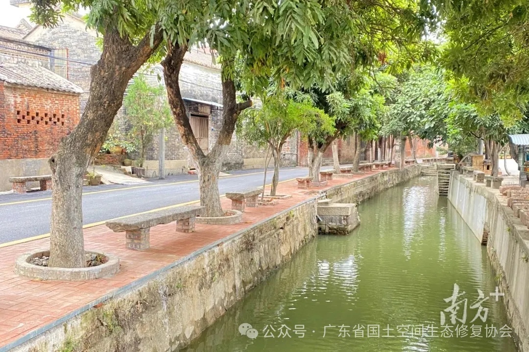 佛山杏坛全域土体综合整治4