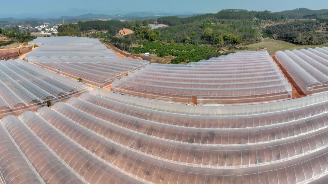 东源县全域土地综合整治试点