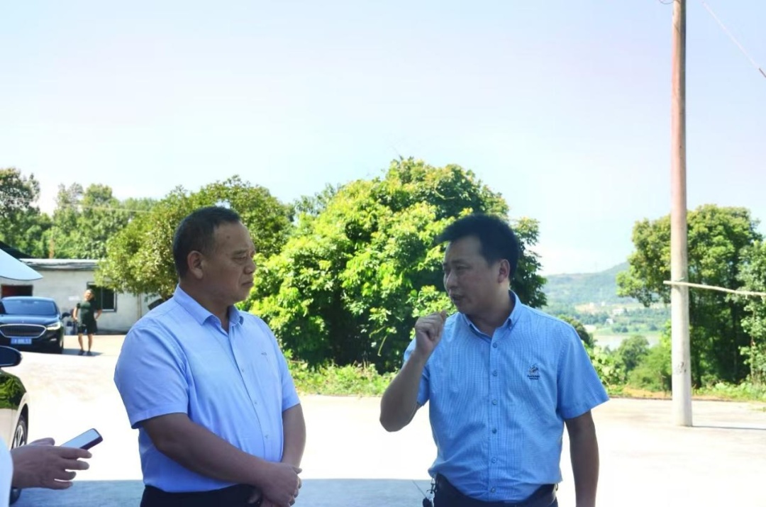 重庆田长制网格员制度，全域土地综合整治