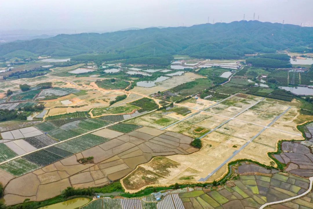 以全域土地综合整治助力广东“百千万工程”，全域土地综合整治3