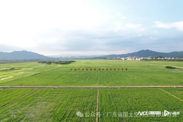 全域土地综合整治,从化鳌头万亩良田项目。 全域土地综合整治,从化鳌头万亩良田项目。
