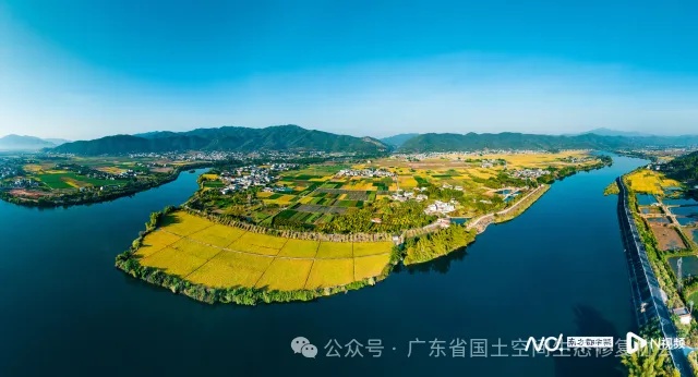 全域土地综合整治, 新铺镇丝苗米连片种植农田。 全域土地综合整治, 新铺镇丝苗米连片种植农田。