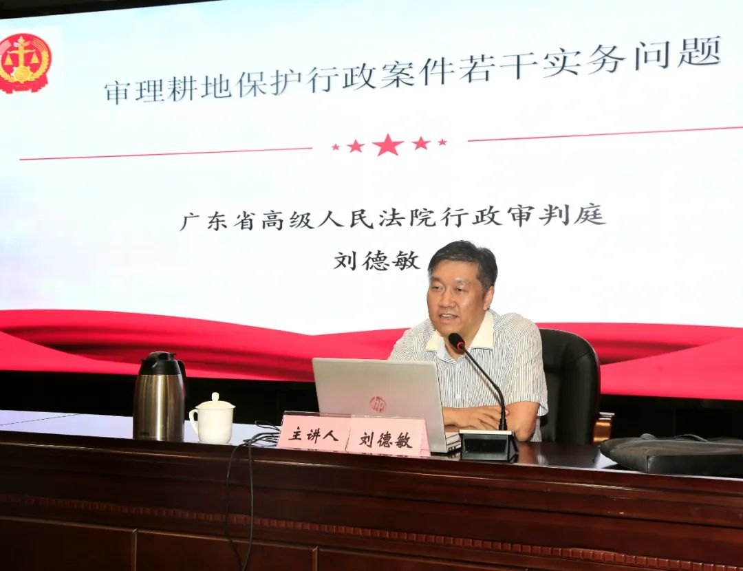 全域土地综合整治，广东全域土地综合整治后，耕地保护，广东耕地保护2