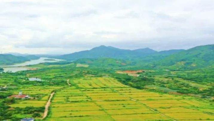 全域土地综合政治,汕尾陆丰全域土地综合整治2 全域土地综合政治,汕尾陆丰全域土地综合整治2