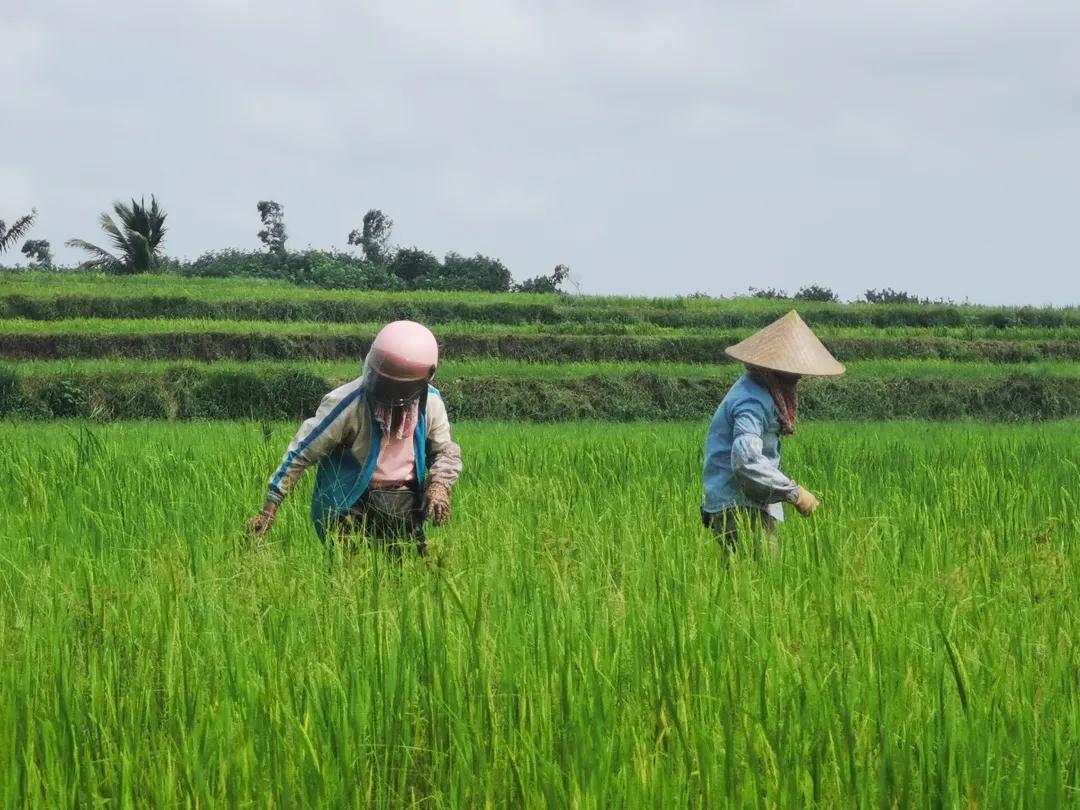 全域土地综合整治，海南全域土地综合整治3