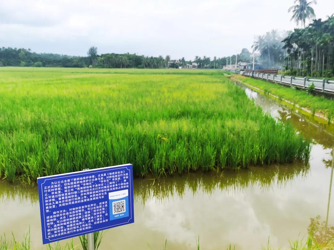 全域土地综合整治，海南全域土地综合整治4