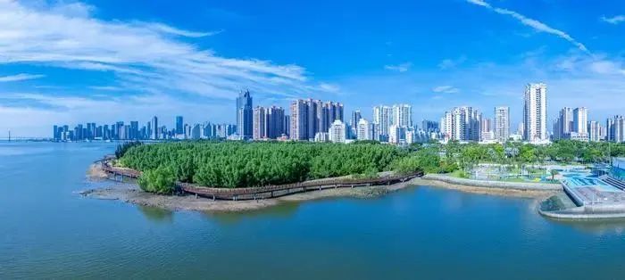 全域土地综合整治，广东全域土地综合整治，湛江全域土地综合整治1