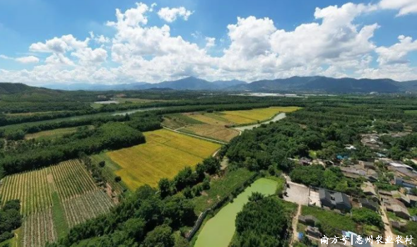 全域土地综合整治，惠东全域土地综合整治，白花镇全域土地综合整治，高埠村全域土地综合整治，广东全域土地综合整治1