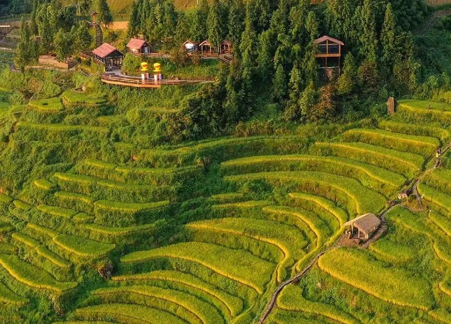 全域土地综合整治,广东全域土地综合整治1 全域土地综合整治,广东全域土地综合整治1