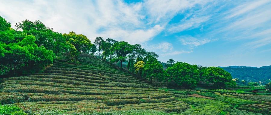 全域土地综合整治,广东全域土地综合整治2 全域土地综合整治,广东全域土地综合整治2