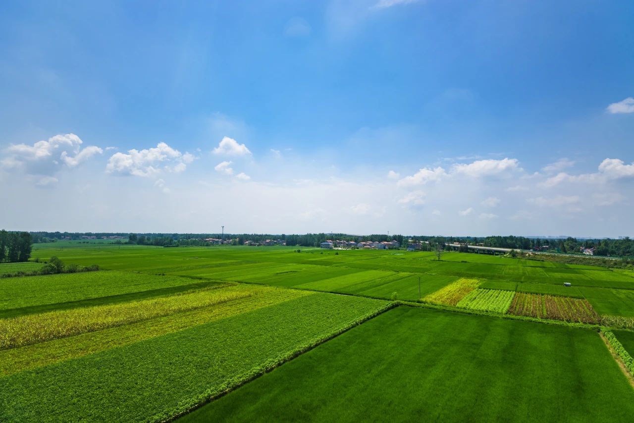 全域土地综合整治,广东全域土地综合整治3 全域土地综合整治,广东全域土地综合整治3
