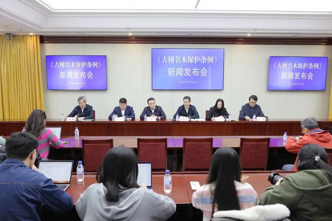 全域土地综合整治，古树名木，古树名木保护，广东全域土地综合整治，广东古树名木保护