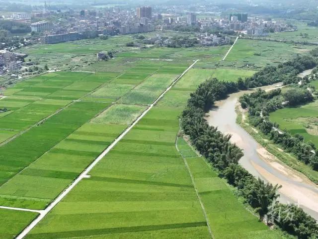 全域土地综合整治，广东全域土地综合整治，百千万工程2