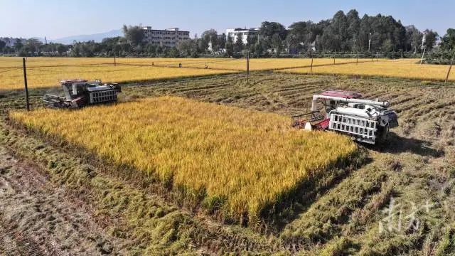 全域土地综合整治，广东全域土地综合整治，百千万工程3