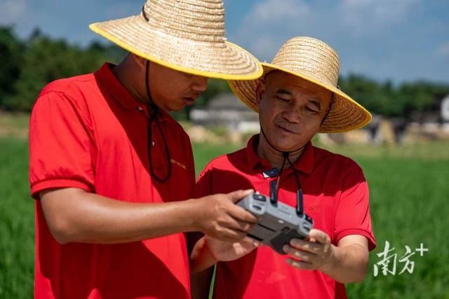 田长制，广东田长制，广州田长制，全域土地综合整治，广东全域土地综合整治4