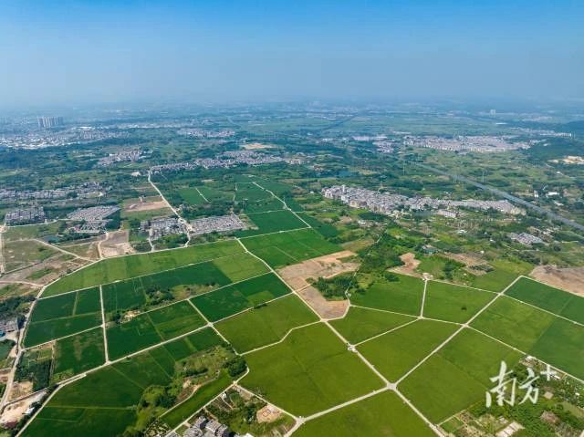 田长制，广东田长制，广州田长制，全域土地综合整治，广东全域土地综合整治5