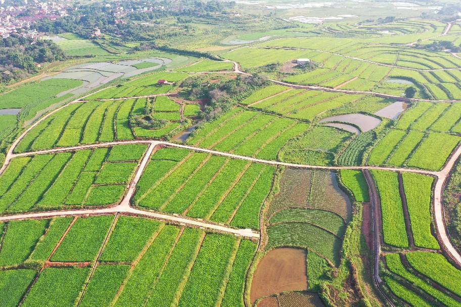 全域土地综合整治，韶关全域土地综合整治，南雄全域土地综合整治，垦造水田，韶关垦造水田，南雄垦造水田