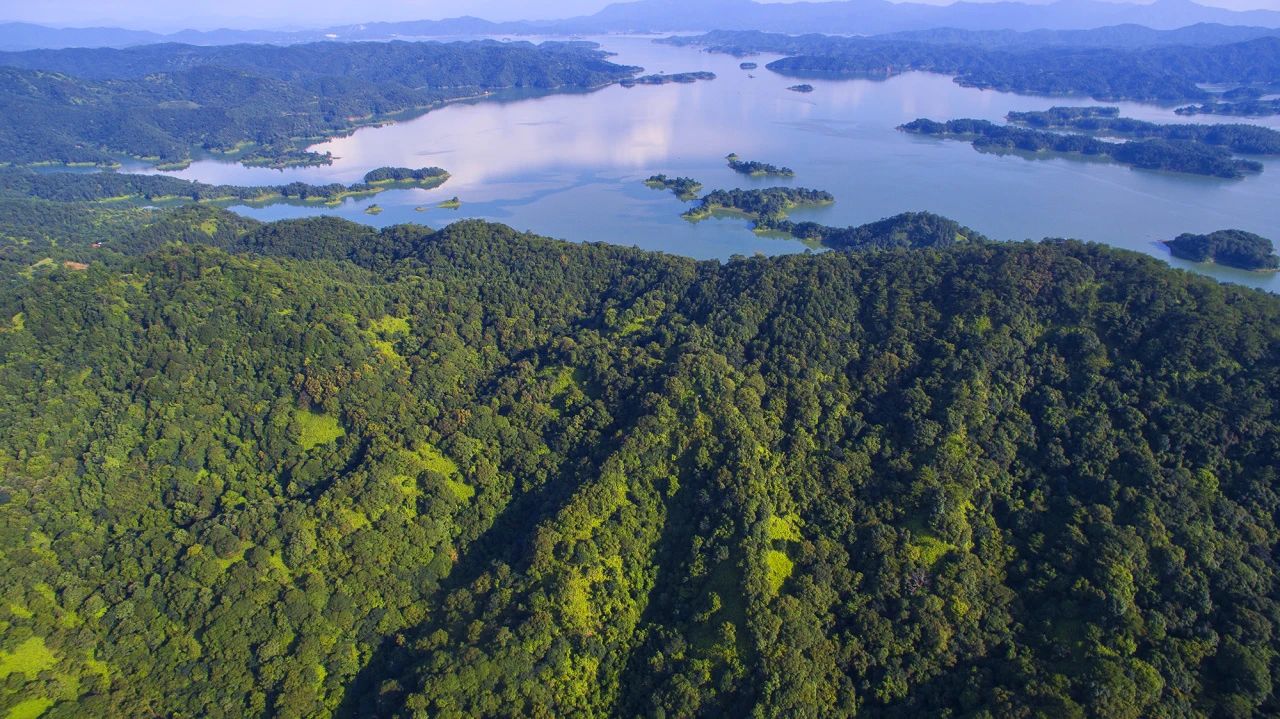 全域土地综合整治,河源全域土地综合整治2 全域土地综合整治,河源全域土地综合整治2
