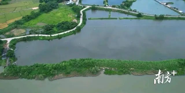 全域土地综合整治,阳江全域土地综合整治2 全域土地综合整治,阳江全域土地综合整治2