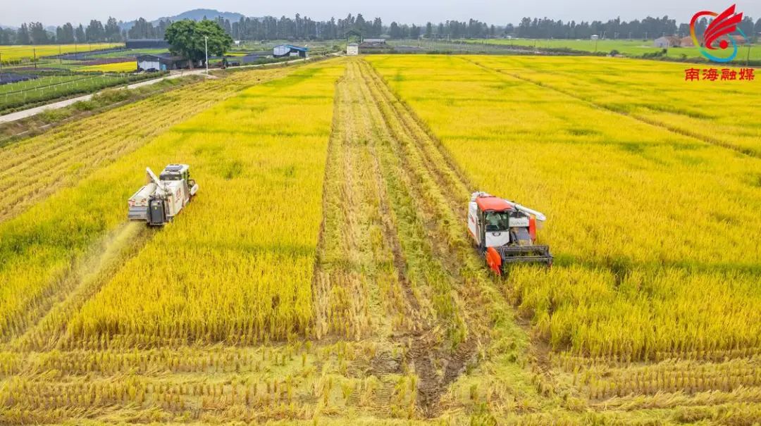 全域土地综合整治,南海全域土地综合整治5 全域土地综合整治,南海全域土地综合整治5