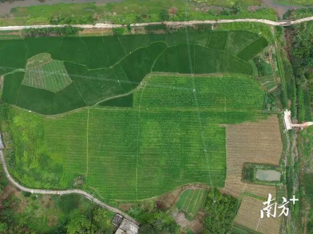 全域土地综合整治，兴宁市全域土地综合整治，石马镇全域土地综合整治1