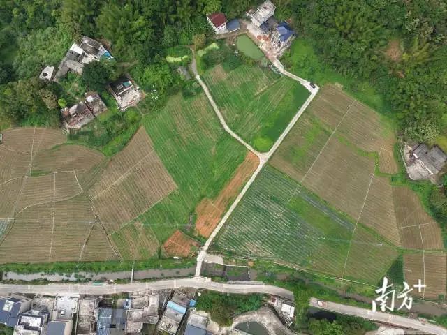 全域土地综合整治，兴宁市全域土地综合整治，石马镇全域土地综合整治3