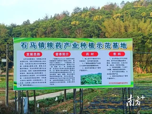 全域土地综合整治，兴宁市全域土地综合整治，石马镇全域土地综合整治4