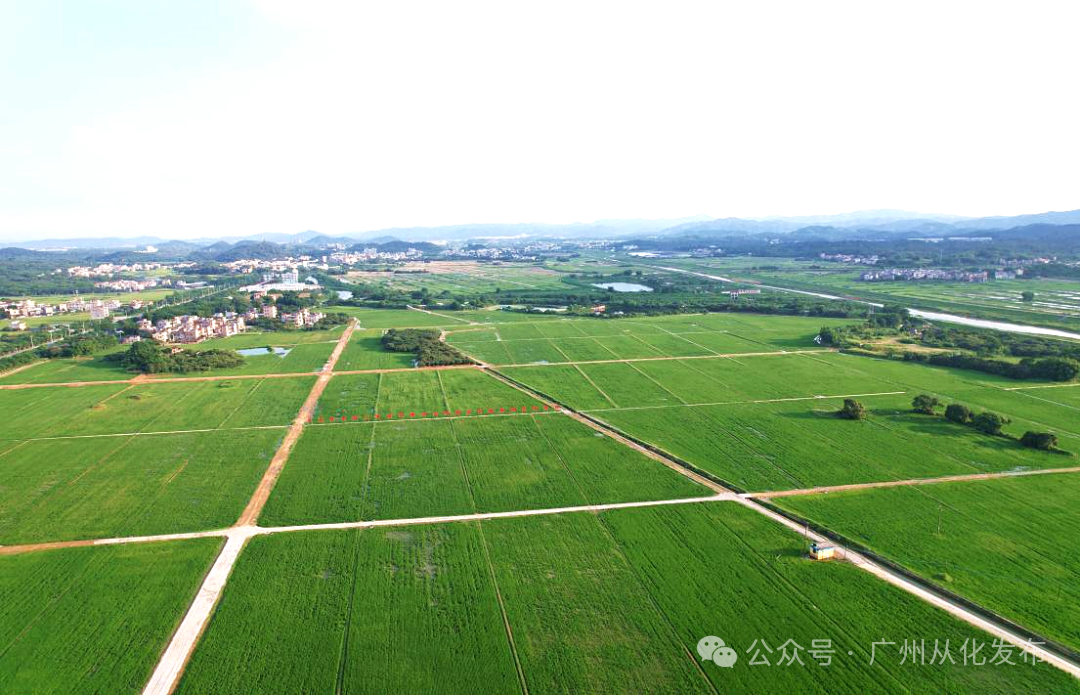 全域土地综合整治，从化全域土地综合整治，百千万工程，从化百千万工程2