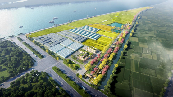 全域土地综合整治，广东全域土地综合整治，南沙全域土地综合整治，土地管理、南沙土地管理1