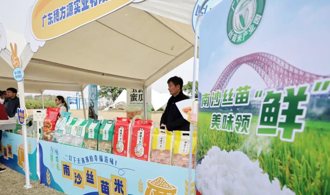 全域土地综合整治，广东全域土地综合整治，南沙全域土地综合整治4