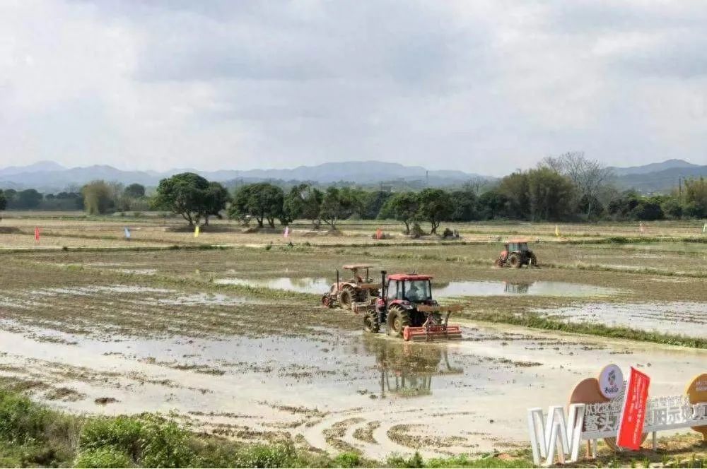 全域土地综合整治，广州全域土地综合整治，从化全域土地综合整治1