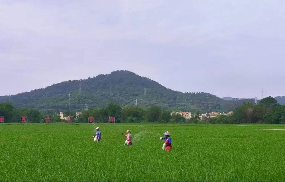 全域土地综合整治，广州全域土地综合整治，从化全域土地综合整治2