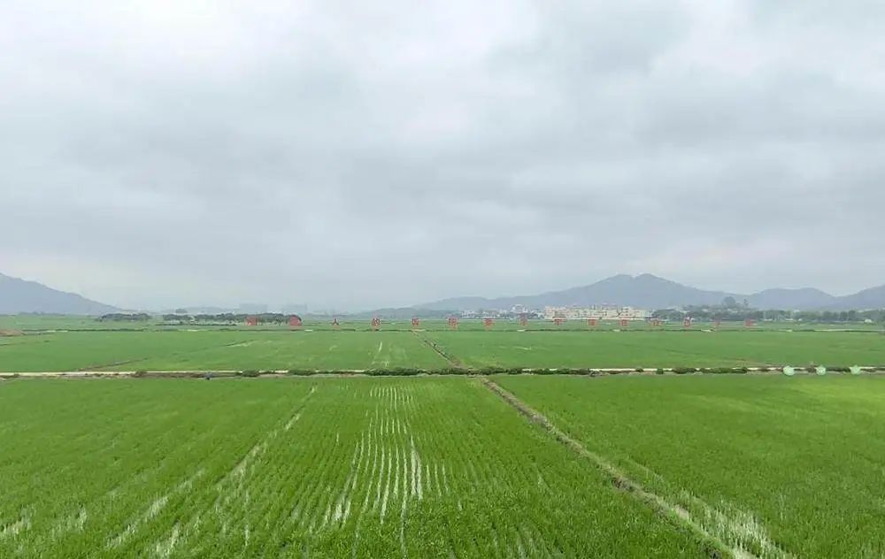 全域土地综合整治，广州全域土地综合整治，从化全域土地综合整治3