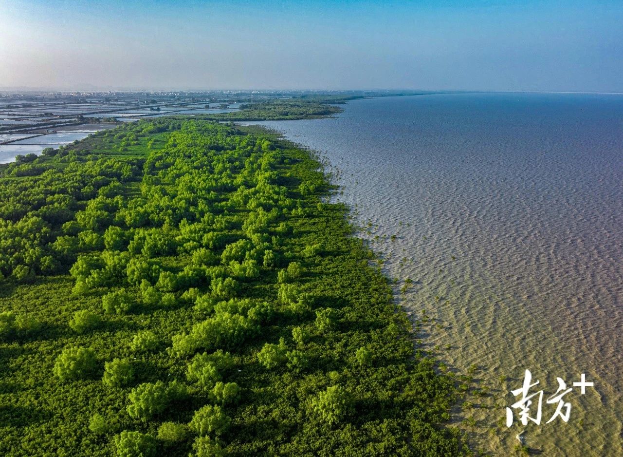 全域土地综合整治，广东全域土地综合整治，百千万工程，广东百千万工程6
