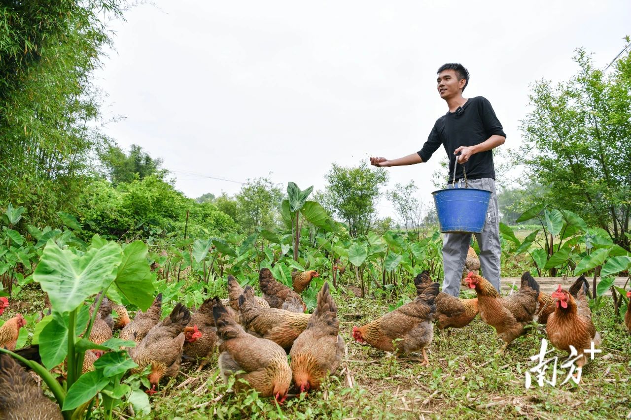 全域土地综合整治，广东全域土地综合整治，百千万工程，广东百千万工程7