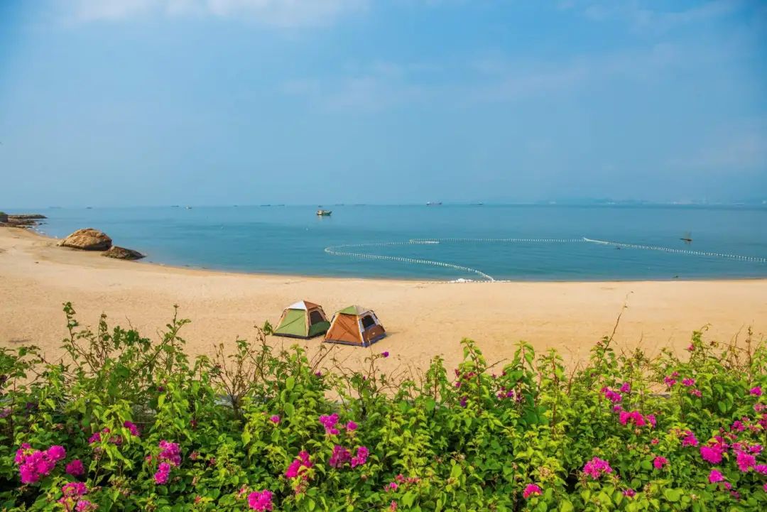 全域土地综合整治，珠海全域土地综合整治，广东全域土地综合整治，珠海生态修复，三角岛生态修复8