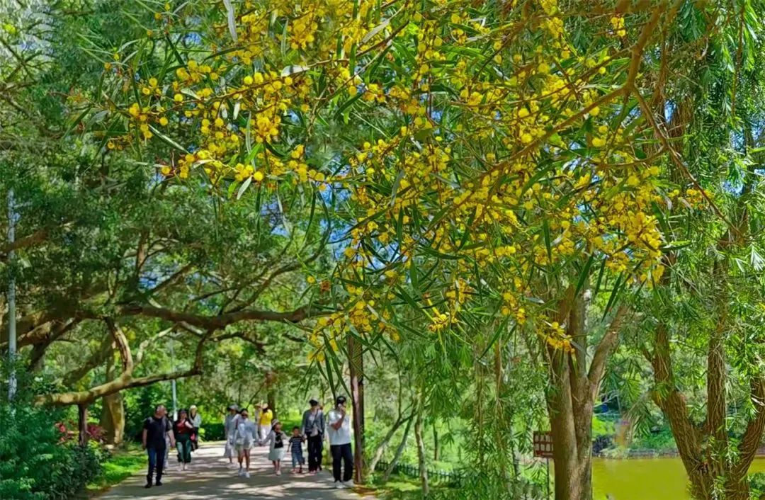 全域土地综合政治，汕头全域土地综合整治4