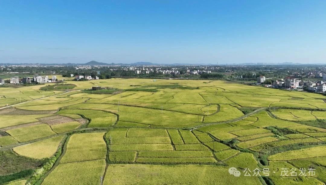 全域土地综合整治，高州全域土地综合整治，镇江镇全域土地综合整治1