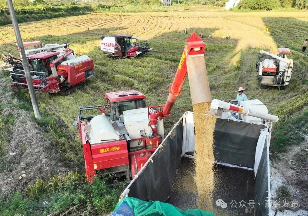 全域土地综合整治，高州全域土地综合整治，镇江镇全域土地综合整治2