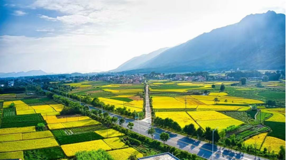 全域土地综合整治，广东全域土地综合整治，韶关全域土地综合整治，乳源全域土地综合整治1