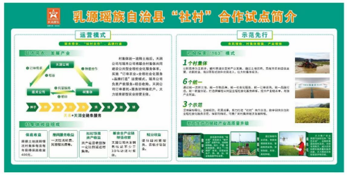 全域土地综合整治，广东全域土地综合整治，韶关全域土地综合整治，乳源全域土地综合整治2