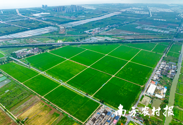 全域推动综合整治，广东全域土地综合整治，土地日，全国土地日1