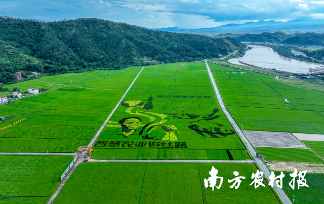 全域推动综合整治，广东全域土地综合整治，土地日，全国土地日2