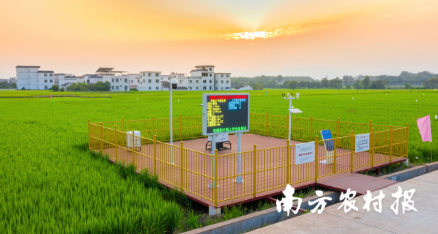 全域推动综合整治，广东全域土地综合整治，土地日，全国土地日3