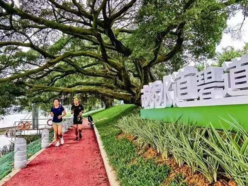 全域土地综合整治，广州全域土地综合整治，番禺全域土地综合整治6