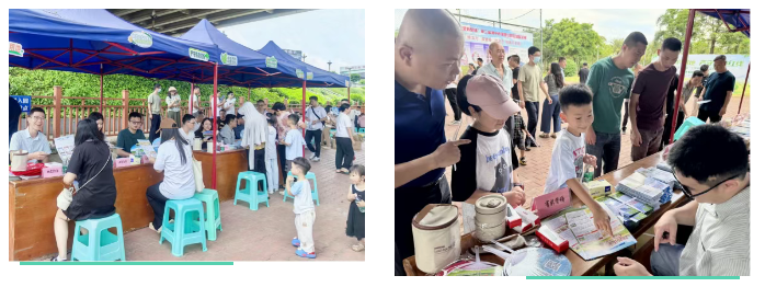 全域土地综合整治，广东全域土地综合整治，耕地保护3