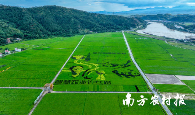 全域土地综合整治，广东全域土地综合整治，土地日1