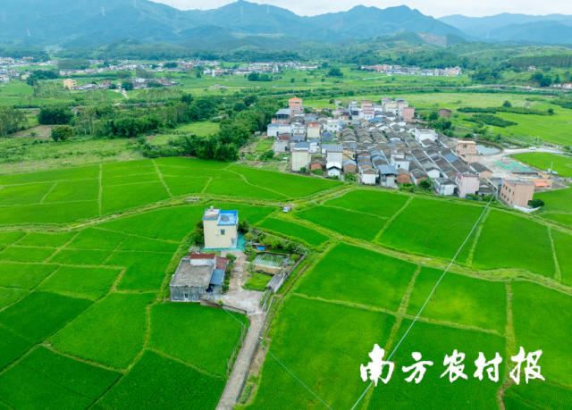 全域土地综合整治，广东全域土地综合整治，土地日2